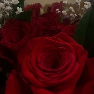 Meet your Posher, Yesenia